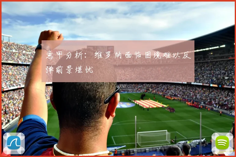 意甲分析：维罗纳面临困境难以反弹前景堪忧