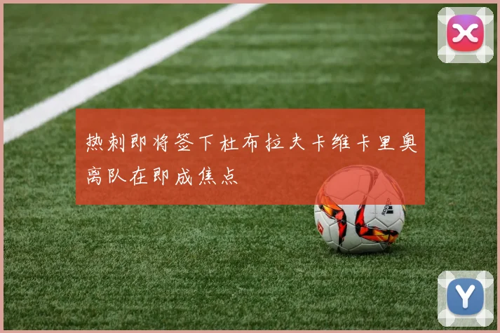 热刺即将签下杜布拉夫卡维卡里奥离队在即成焦点